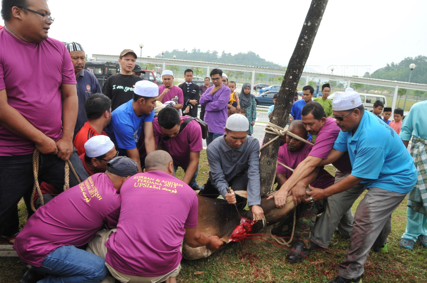 PRO15 150 KORBAN HAS 6754